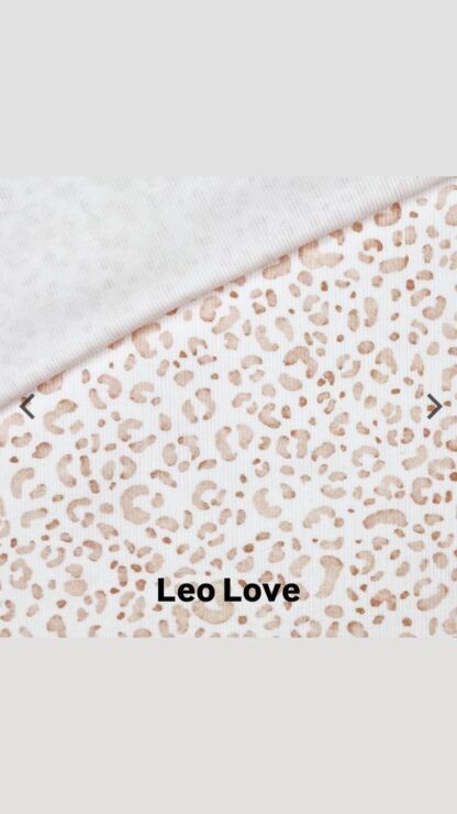 Leo Love